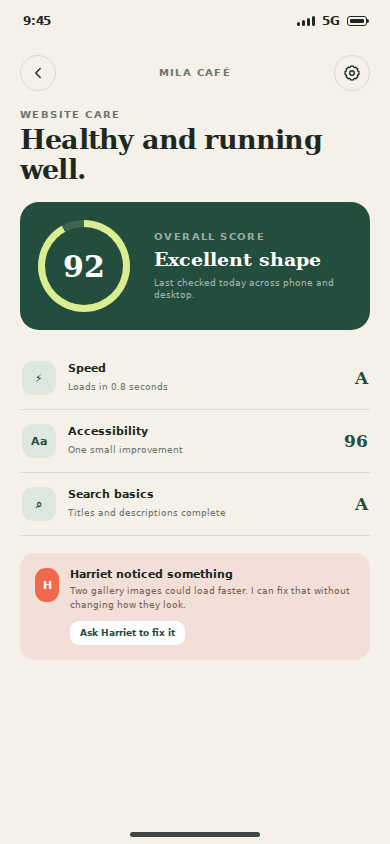 Website health and recommendations